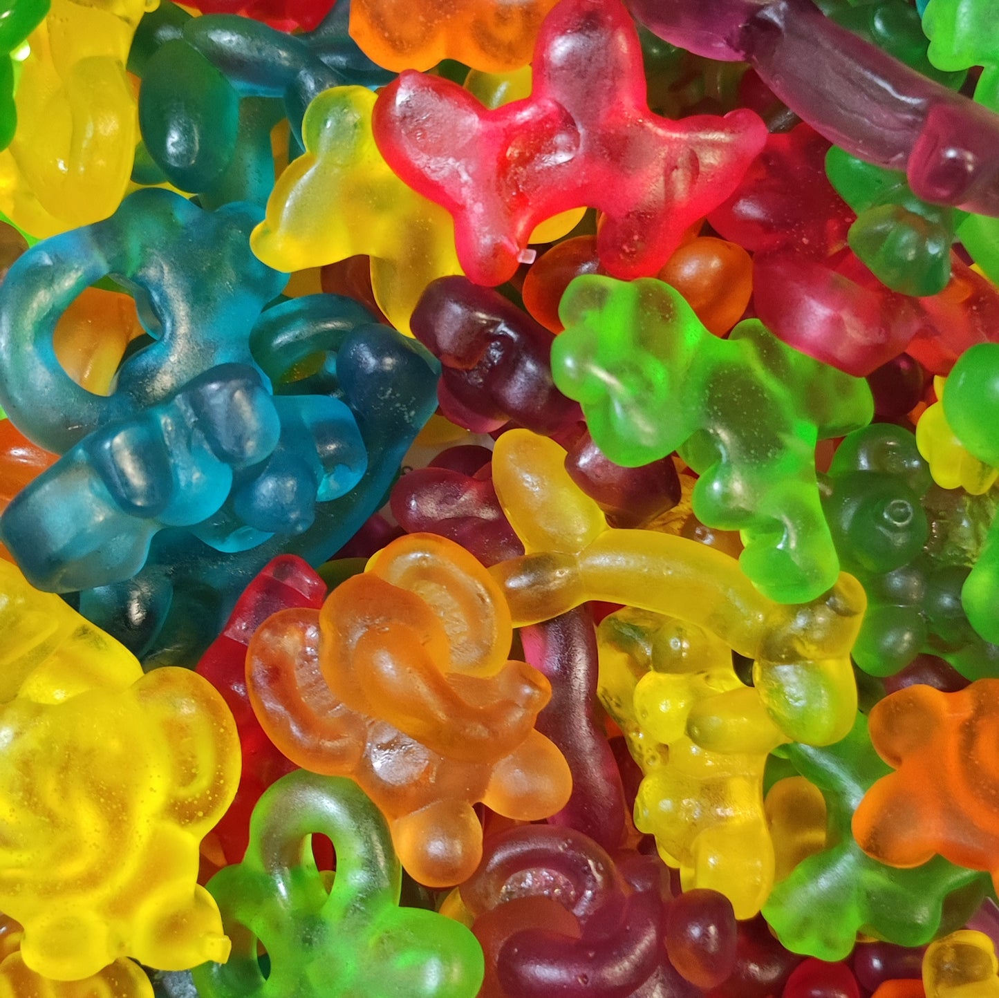 BALLONS ANIMALS