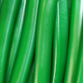 REGALIZ XL SANDIA BRILLO