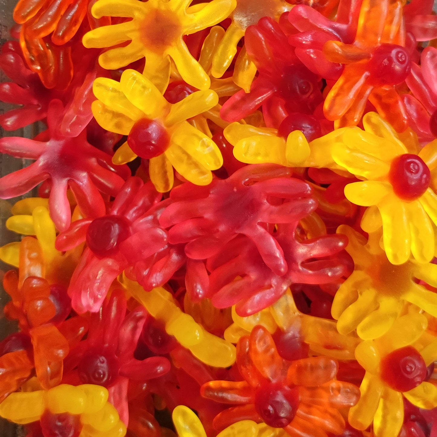 PULPOS PICANTES