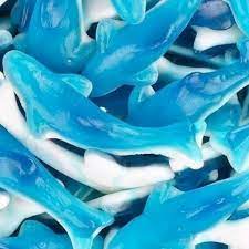 DELFIN XXL